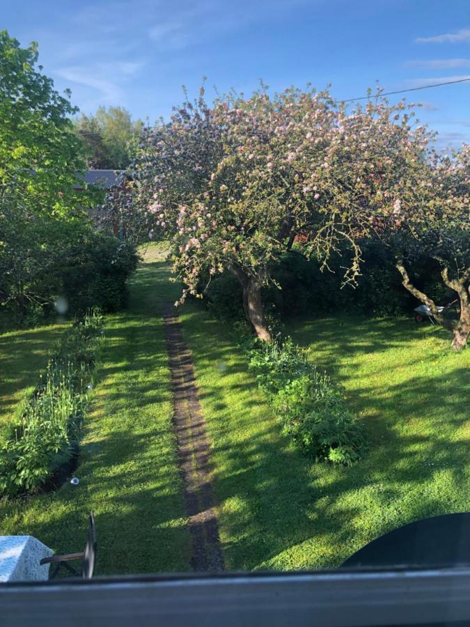 Tingstäde Martebo Bed & Breakfast מראה חיצוני תמונה