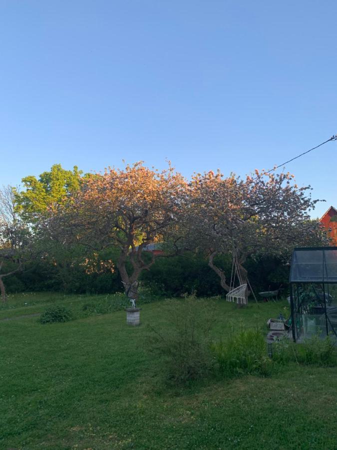 Tingstäde Martebo Bed & Breakfast מראה חיצוני תמונה